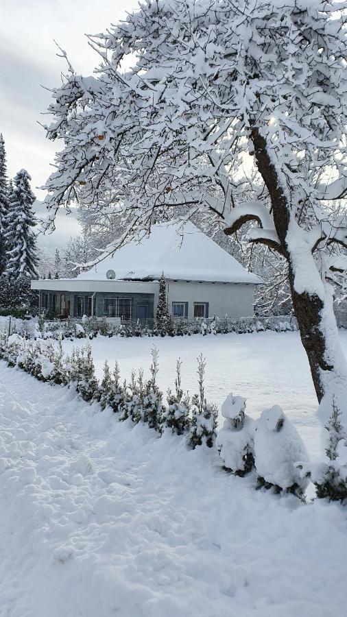 Bambu Lodge @ Ossiachersee Bodensdorf Eksteriør billede